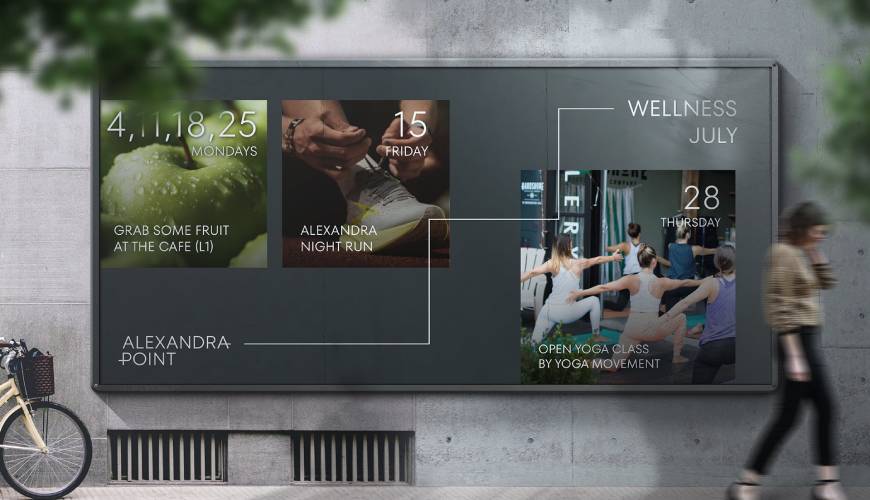 临川区画册设计公司如何进行品牌审核