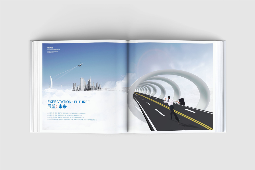 临川区画册设计