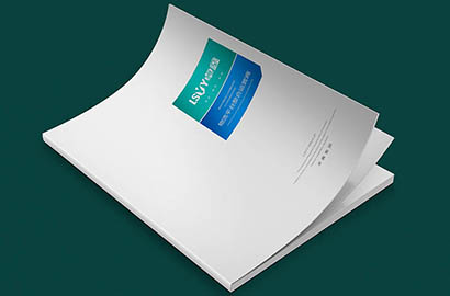 临川区样本册设计：以严谨逻辑，展现城市产业的硬核实力